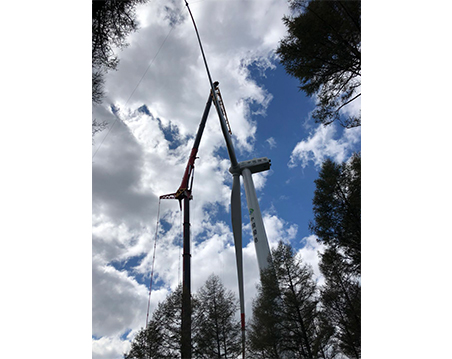 陆地单叶片吊具  国电